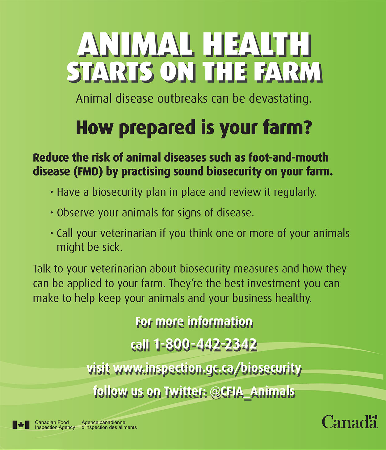 Government of Canada “Animal Health” Print Ad – Compass Communications